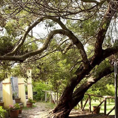 Casa di campagna Menhir